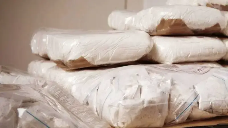 Douane : Saisie de 33 kilos de cocaïne et 208 kilos de cannabis en 2024